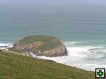 thn_The Catlins Coast 007.jpg